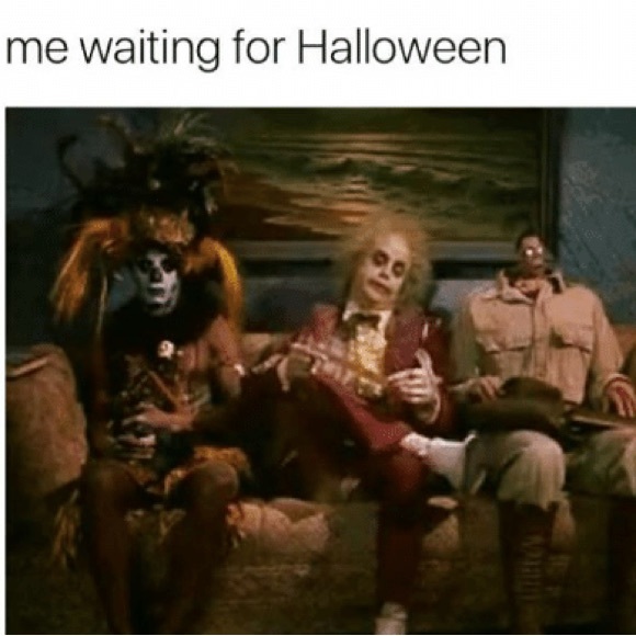 Comments Full! Please ❤️ New Listing! - Picture 5 of 16